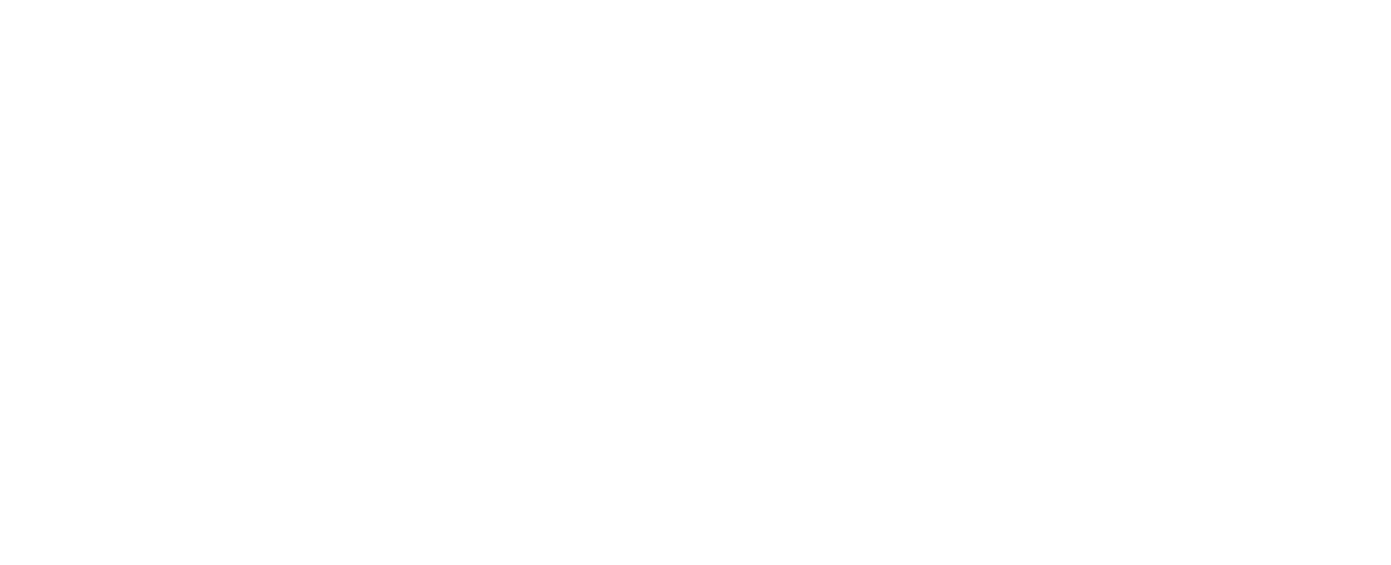 dpa_logo_wht